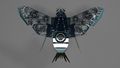 The Satellite Moths
